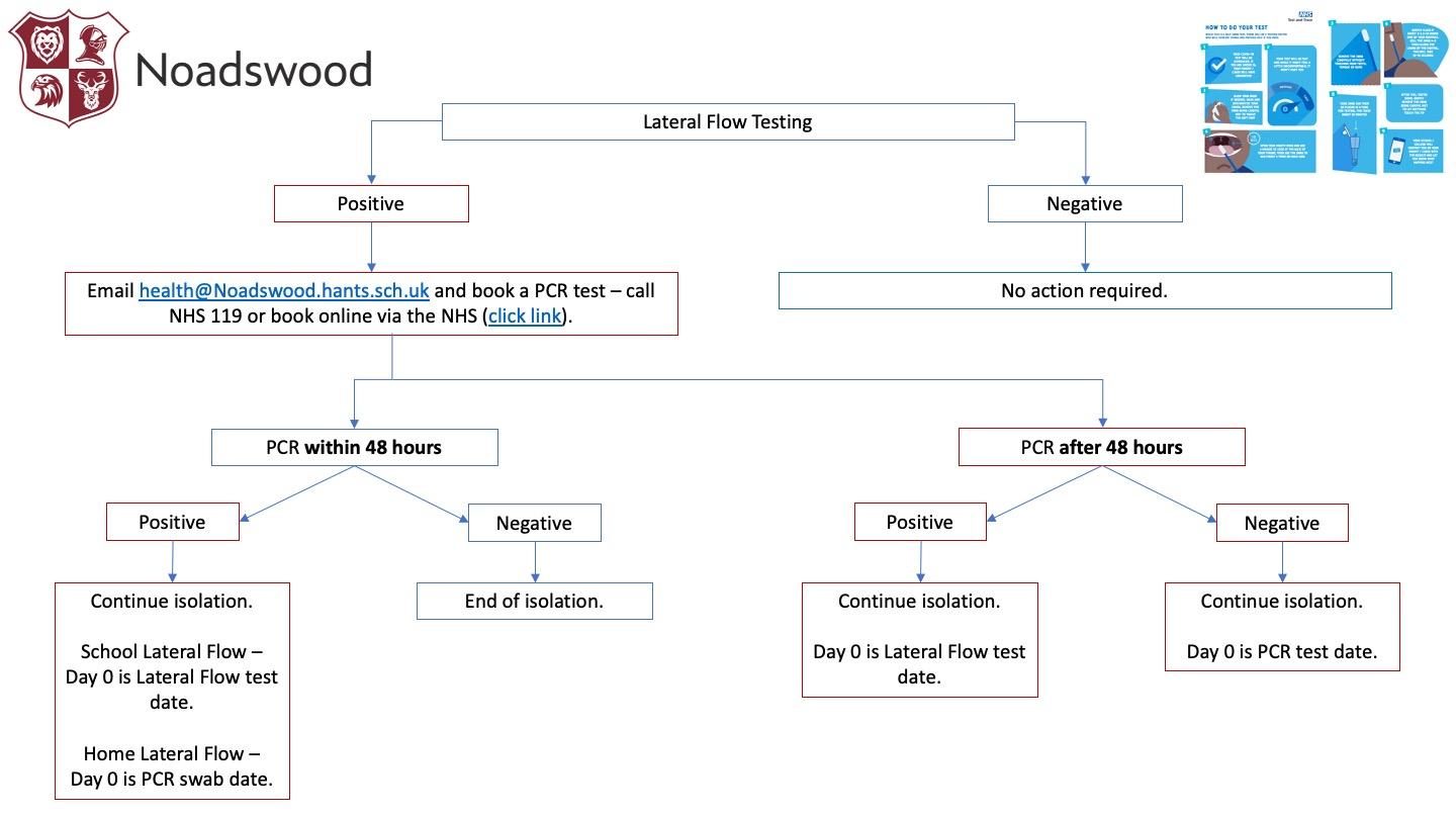 Lateral Flow Testing